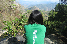 How international students cope with studying abroad Image